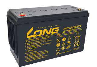 ẮC QUY KÍN KHÍ (VRLA AGM) LONG 12V-450WPC-1.67VPC-15Min, WXL12450WN, F18-M8